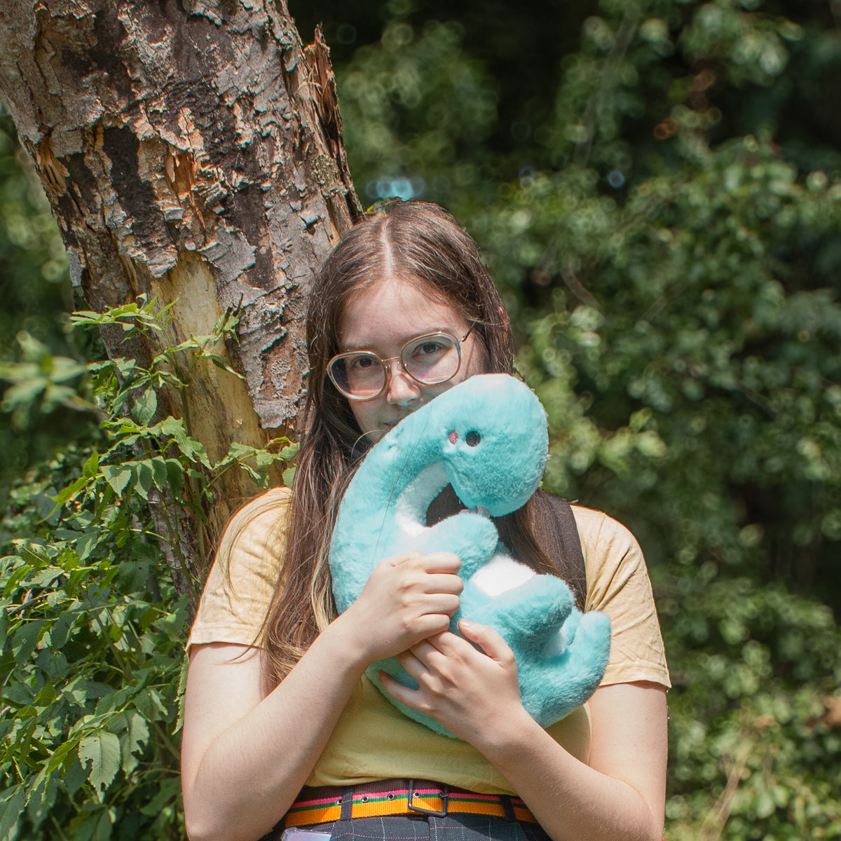 PRE-ORDER | Lonk the fluffy Brontosaurus | limited time